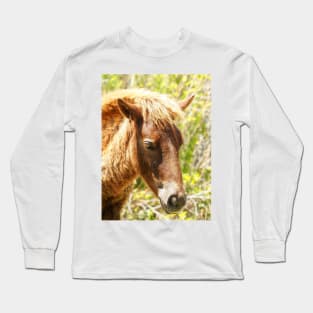 Assateague Pony Wyld Wynds Colt Long Sleeve T-Shirt